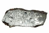 Polished Stony-Iron Mesosiderite Meteorite ( g) - Chile #242901-1